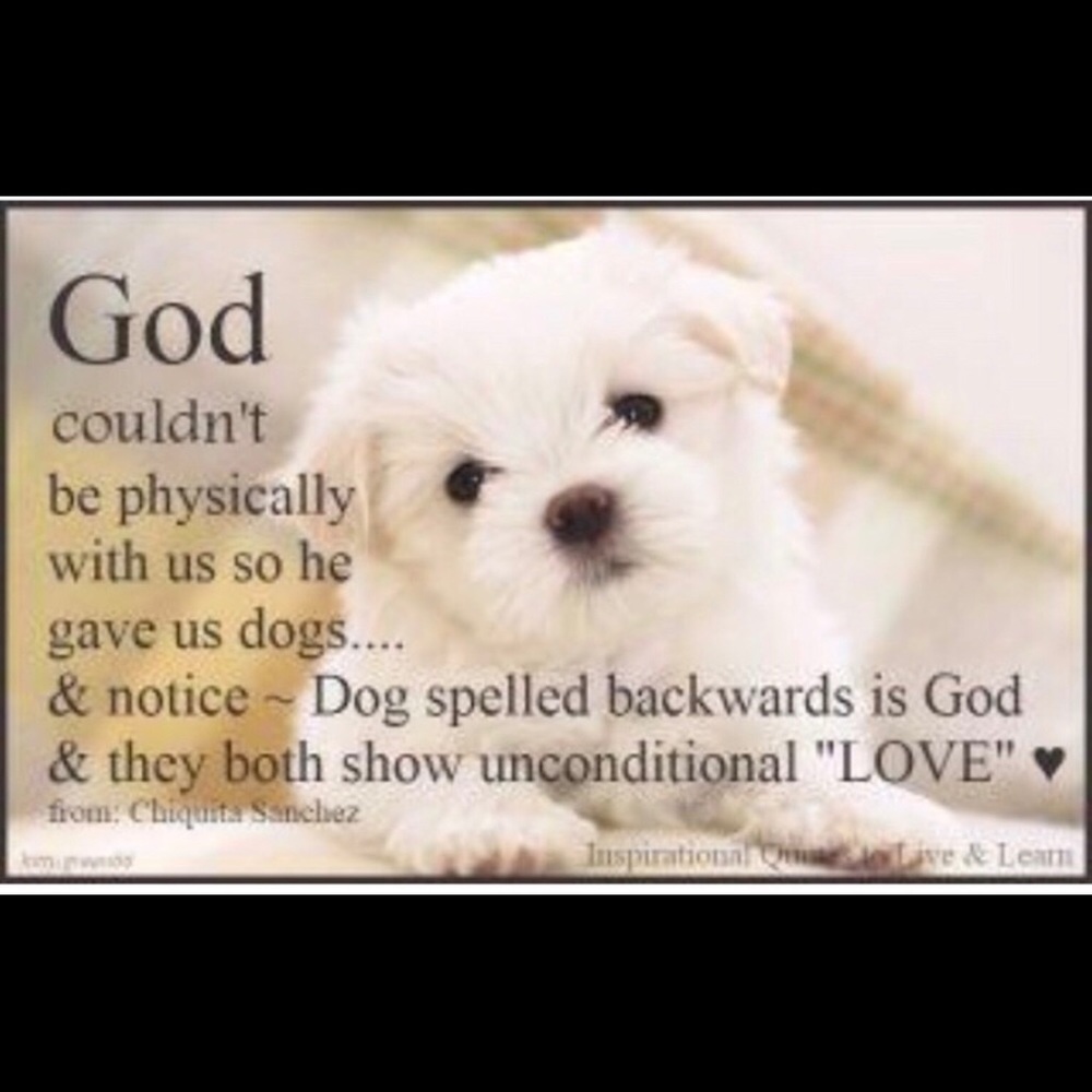 💕🐶🐾 WELCOME DOG LOVERS 💕🐶🐾